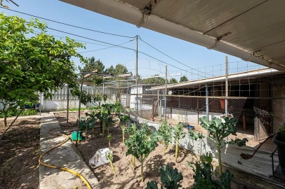 Moradia T3 para Venda em Palmela