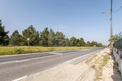 Moradia T3 para Venda em Palmela