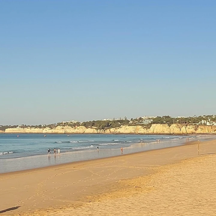 Apartamento T2 para Venda em Armação de Pera Foto 41