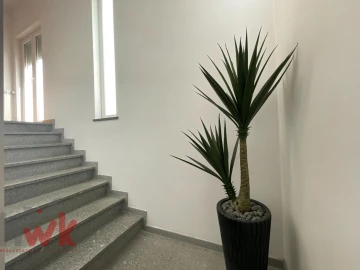 Moradia T4 para Venda em Travanca de Lagos