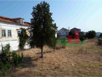 Quinta T14 para Venda em Abrantes (São Vicente e São João) e Alferrarede