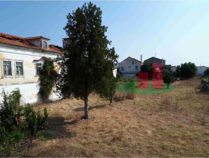 Quinta T14 para Venda em Abrantes (São Vicente e São João) e Alferrarede Foto 5