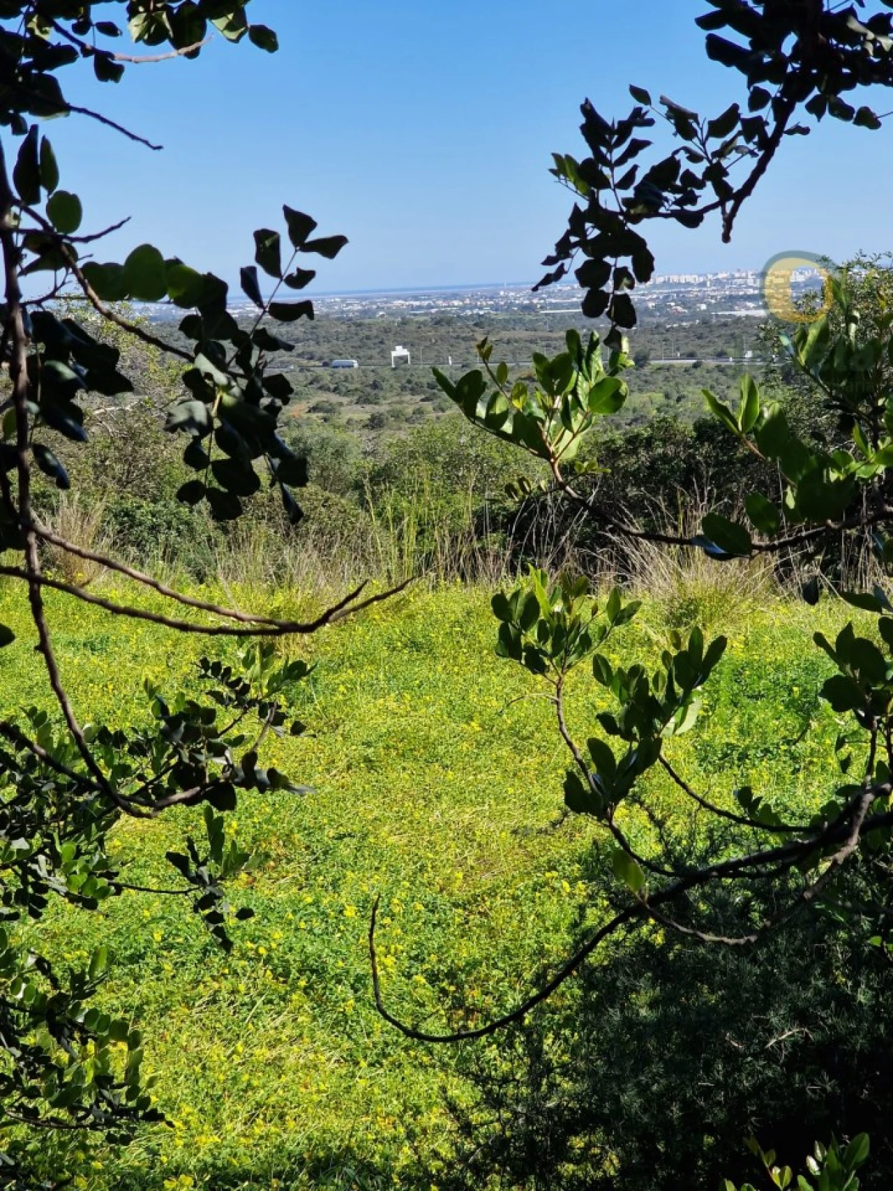 Terreno para Venda em Santa Barbara de Nexe Foto 25