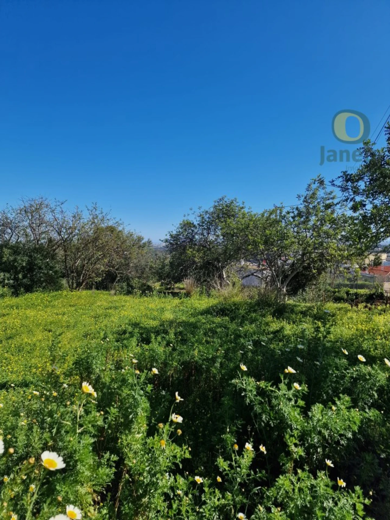 Terreno para Venda em Santa Barbara de Nexe Foto 26