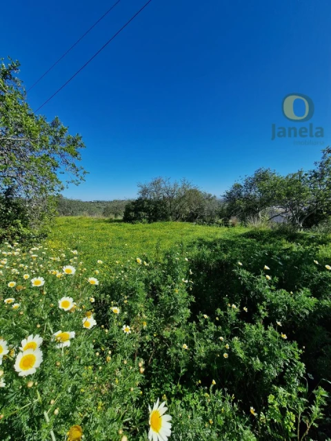 Terreno para Venda em Santa Barbara de Nexe