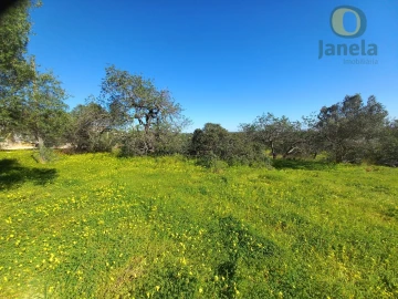 Terreno para Venda em Santa Barbara de Nexe