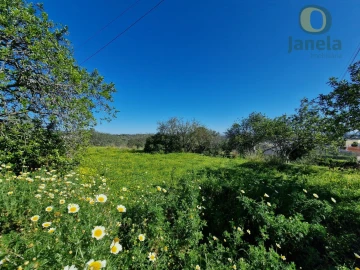 Terreno para Venda em Santa Barbara de Nexe