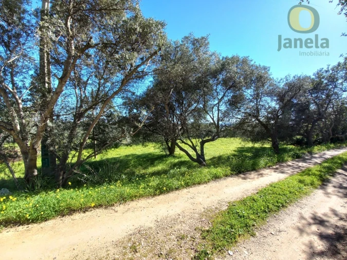 Terreno para Venda em Santa Barbara de Nexe Foto 15