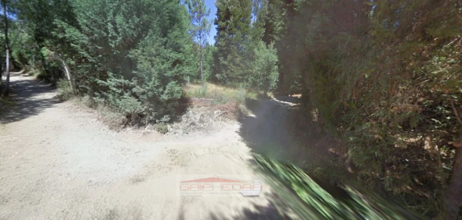 Terreno Agricola ou Rústico para Venda em Pinheiro de Coja e Meda de Mouros Foto 9