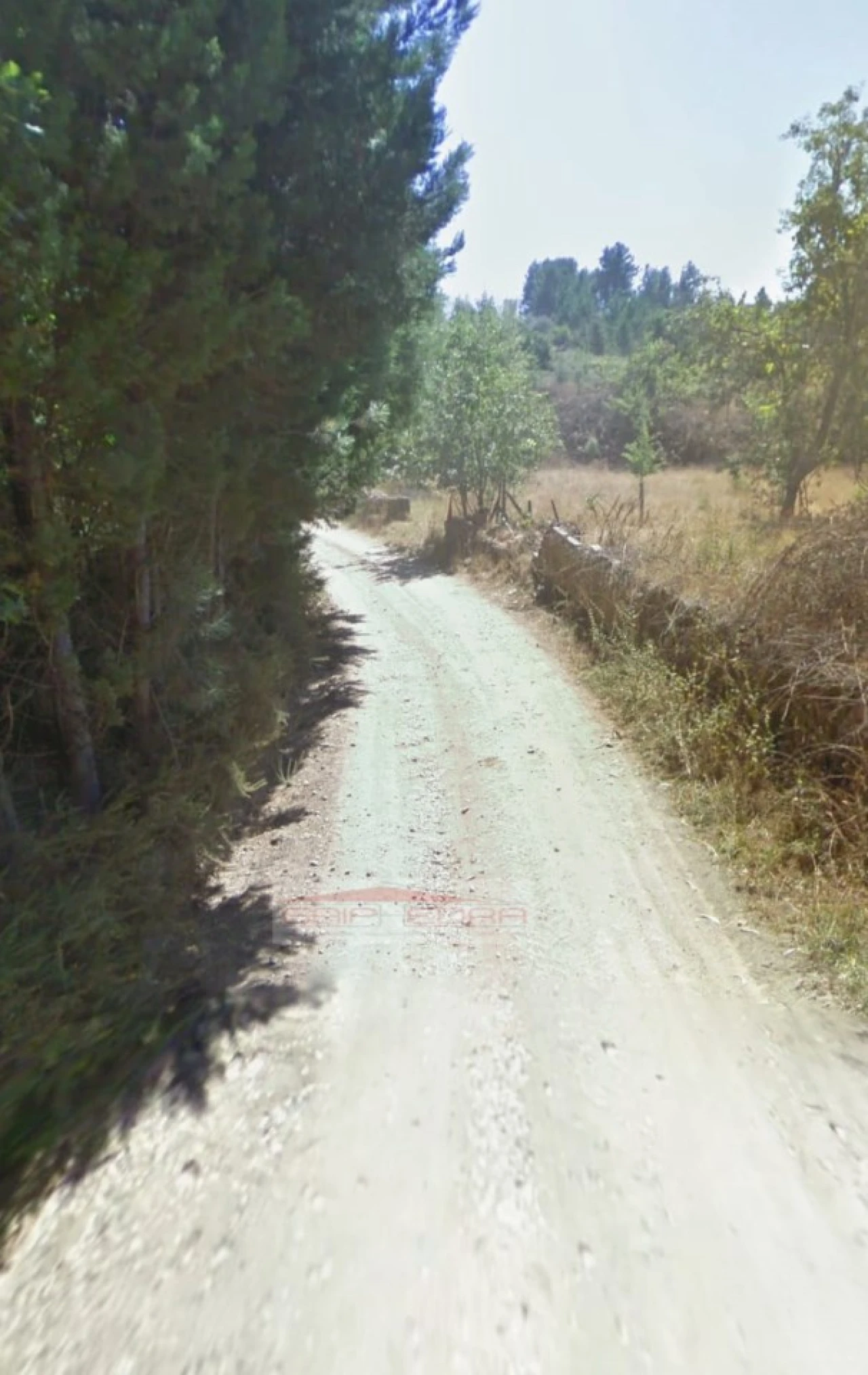 Terreno Agricola ou Rústico para Venda em Pinheiro de Coja e Meda de Mouros Foto 10