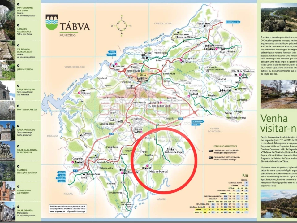 Terreno Agricola ou Rústico para Venda em Pinheiro de Coja e Meda de Mouros Foto 6