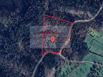 Terreno Agricola ou Rústico para Venda em Pinheiro de Coja e Meda de Mouros