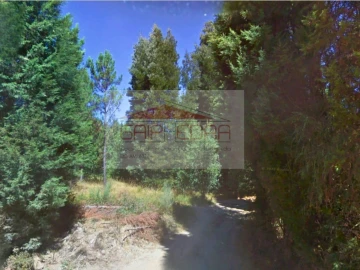 Terreno Agricola ou Rústico para Venda em Pinheiro de Coja e Meda de Mouros