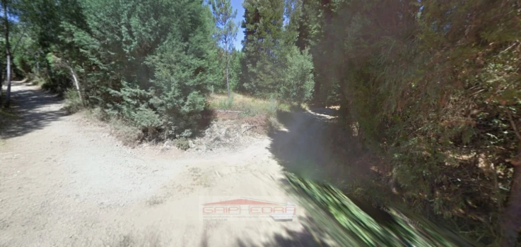 Terreno Agricola ou Rústico para Venda em Pinheiro de Coja e Meda de Mouros Foto 9