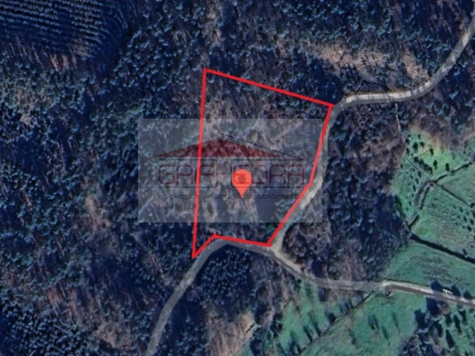 Terreno Agricola ou Rústico para Venda em Pinheiro de Coja e Meda de Mouros Foto 2