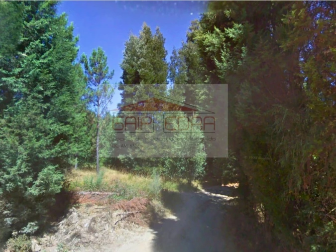 Terreno Agricola ou Rústico para Venda em Pinheiro de Coja e Meda de Mouros Foto 5