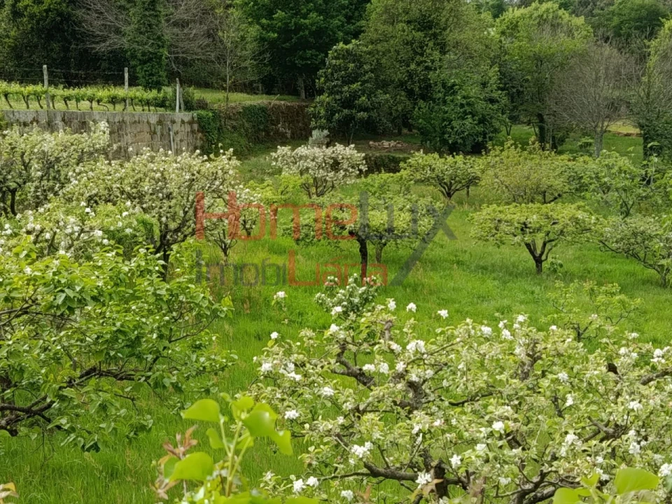 Quinta T6 para Venda em Vila Maior Foto 23