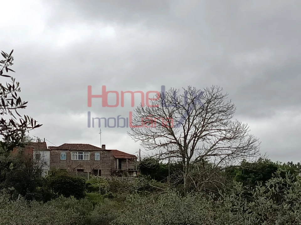 Quinta T6 para Venda em Vila Maior Foto 24