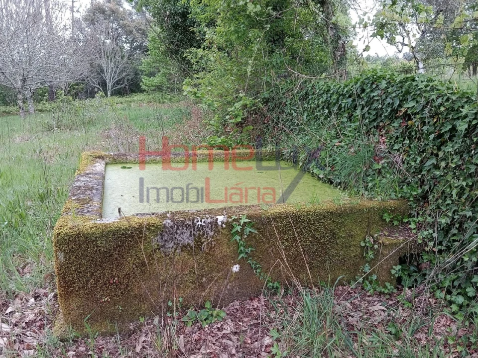 Quinta T6 para Venda em Vila Maior Foto 35