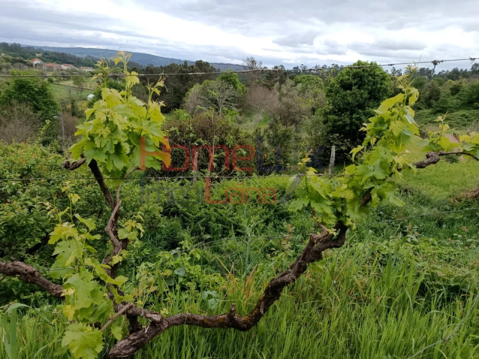 Quinta T6 para Venda em Vila Maior Foto 37