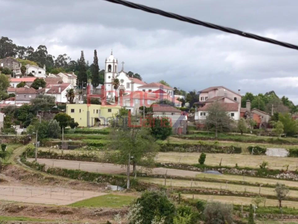 Quinta T6 para Venda em Vila Maior Foto 38