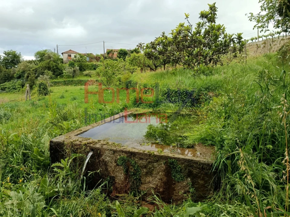 Quinta T6 para Venda em Vila Maior Foto 43