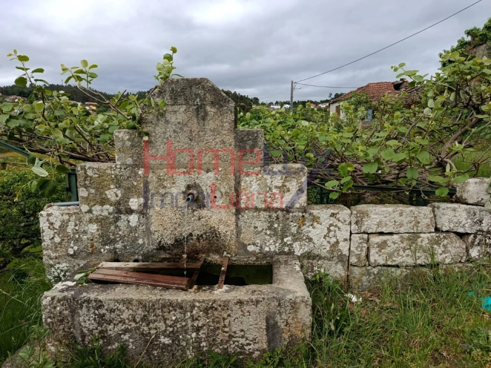 Quinta T6 para Venda em Vila Maior Foto 47