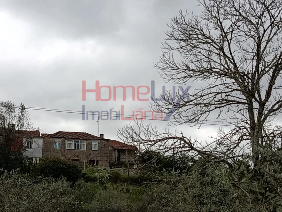 Quinta T6 para Venda em Vila Maior Foto 54