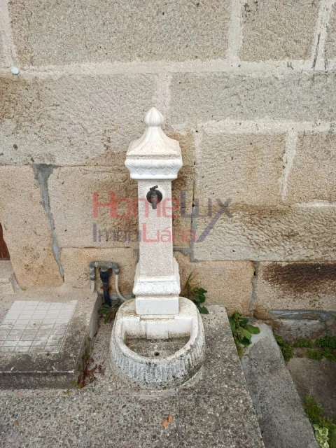 Quinta T6 para Venda em Vila Maior