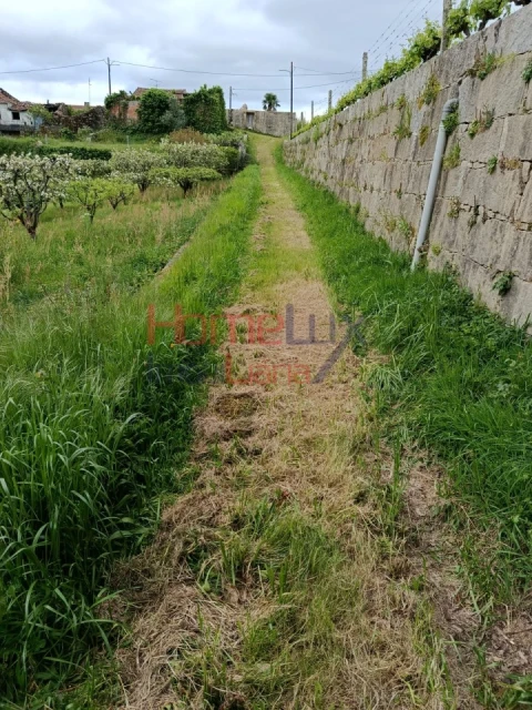 Quinta T6 para Venda em Vila Maior