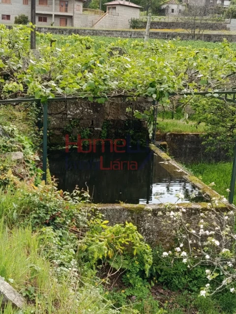 Quinta T6 para Venda em Vila Maior