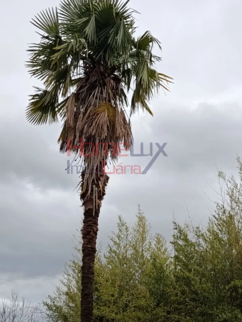 Quinta T6 para Venda em Vila Maior