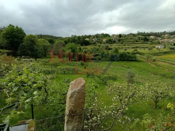 Quinta T6 para Venda em Vila Maior