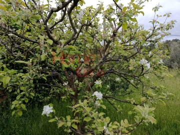 Quinta T6 para Venda em Vila Maior