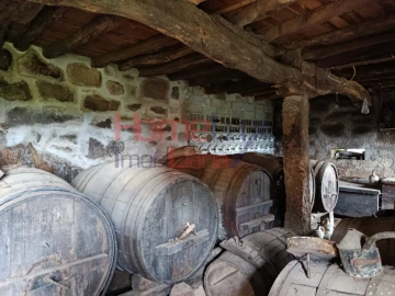 Quinta T6 para Venda em Vila Maior