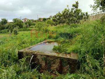 Quinta T6 para Venda em Vila Maior