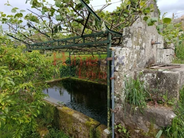 Quinta T6 para Venda em Vila Maior