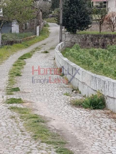Quinta T6 para Venda em Vila Maior