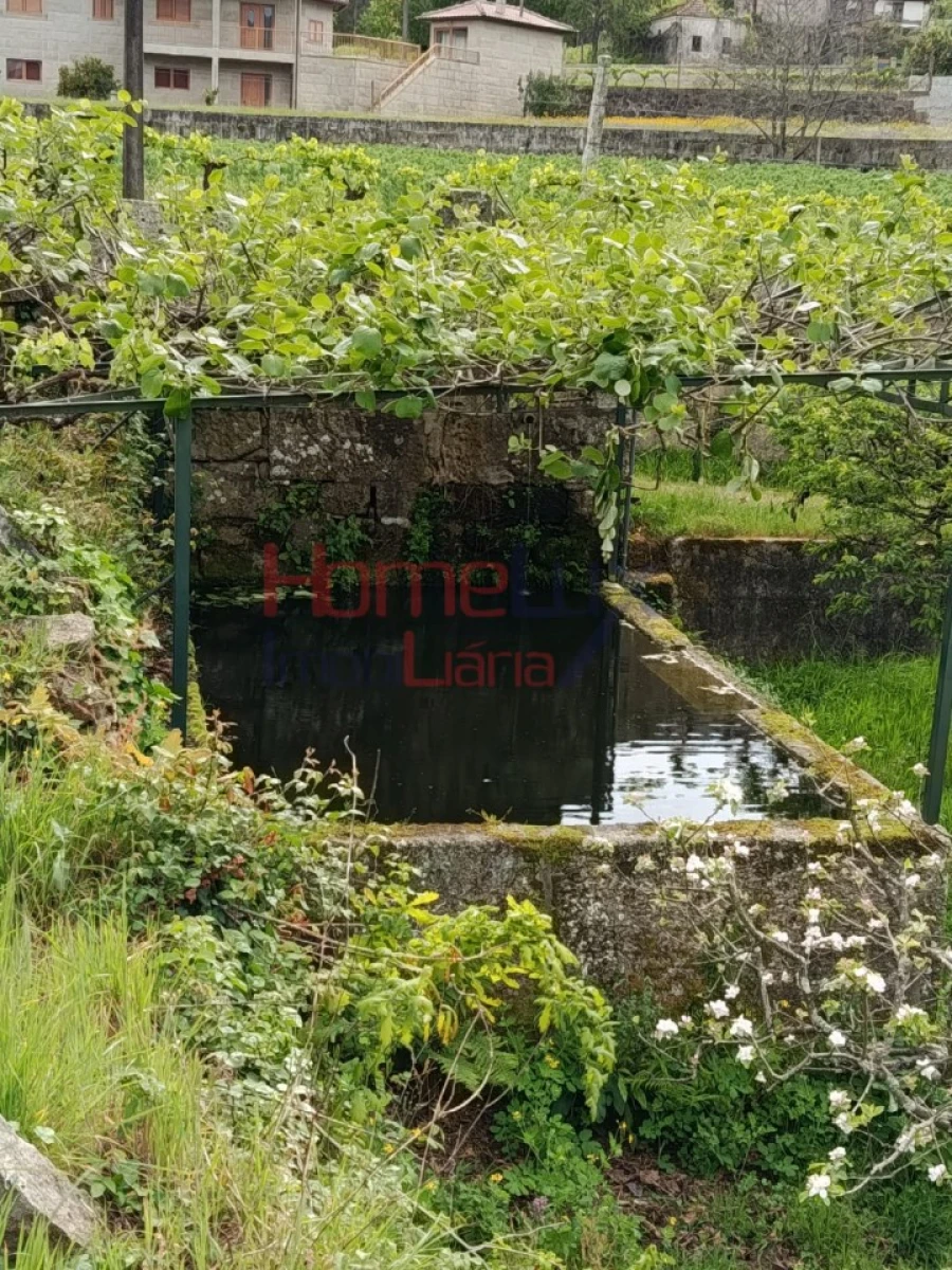 Quinta T6 para Venda em Vila Maior Foto 29