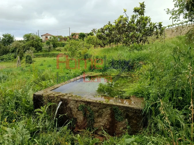 Quinta T6 para Venda em Vila Maior Foto 43