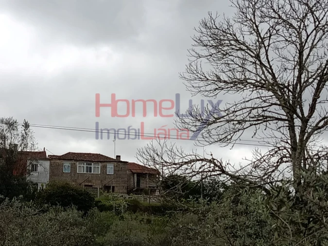 Quinta T6 para Venda em Vila Maior Foto 54