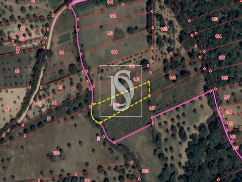 Terreno para Venda em Olaia e Paço Foto 3