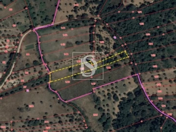 Terreno para Venda em Olaia e Paço