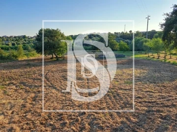 Terreno para Venda em Olaia e Paço