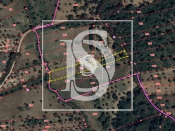 Terreno para Venda em Olaia e Paço