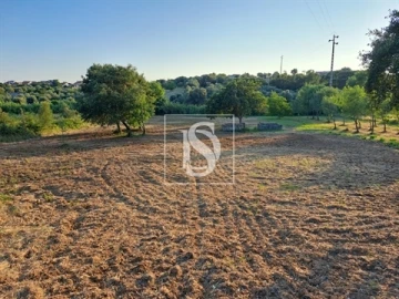Terreno para Venda em Olaia e Paço