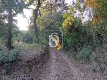 Terreno para Venda em Olaia e Paço