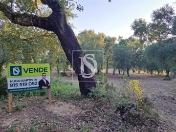 Terreno para Venda em Olaia e Paço