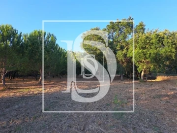 Terreno para Venda em Olaia e Paço