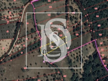 Terreno para Venda em Olaia e Paço
